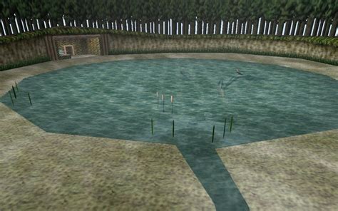 ocarina of time fishing hole.